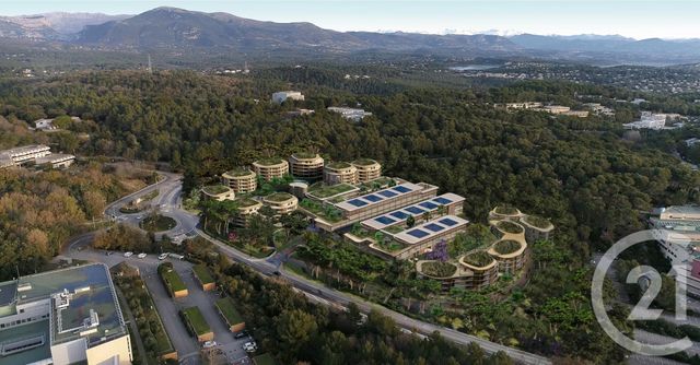 Afficher la photo en grand Appartement T3 à vendre - 3 pièces - 59,60 m2 - Valbonne - 06 - PROVENCE-ALPES-COTE-D-AZUR