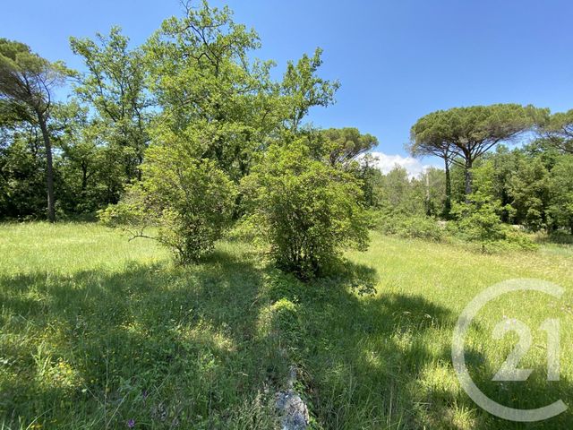 Terrain à vendre - 1552 m2 - Valbonne - 06 - PROVENCE-ALPES-COTE-D-AZUR