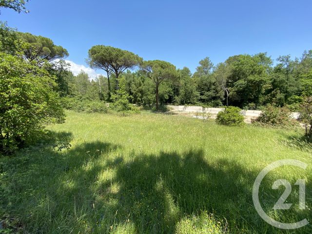 Terrain à vendre - 1552 m2 - Valbonne - 06 - PROVENCE-ALPES-COTE-D-AZUR