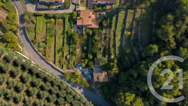 Terrain à vendre - 1529 m2 - Vallauris - 06 - PROVENCE-ALPES-COTE-D-AZUR