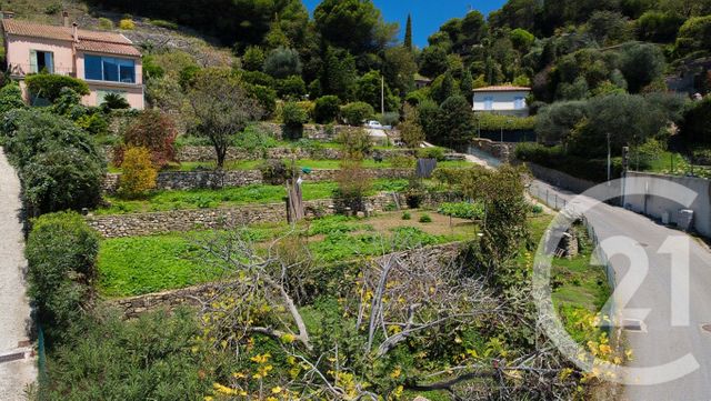 Terrain à vendre - 1529 m2 - Vallauris - 06 - PROVENCE-ALPES-COTE-D-AZUR