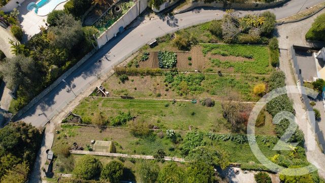 Terrain à vendre - 1529 m2 - Vallauris - 06 - PROVENCE-ALPES-COTE-D-AZUR