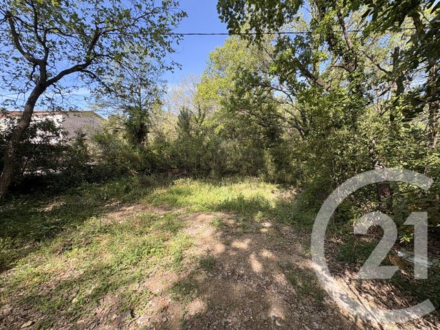 Terrain &agrave; vendre - 3212 m2 - Opio - 06 - PROVENCE-ALPES-COTE-D-AZUR