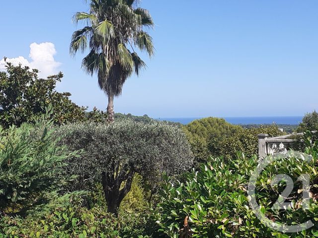 Afficher la photo en grand Maison à vendre - 6 pièces - 271 m2 - Biot - 06 - PROVENCE-ALPES-COTE-D-AZUR