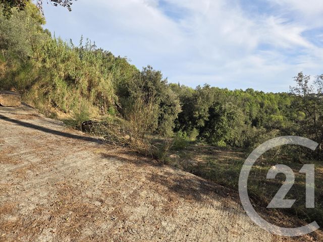 Terrain à vendre - 2999 m2 - Biot - 06 - PROVENCE-ALPES-COTE-D-AZUR