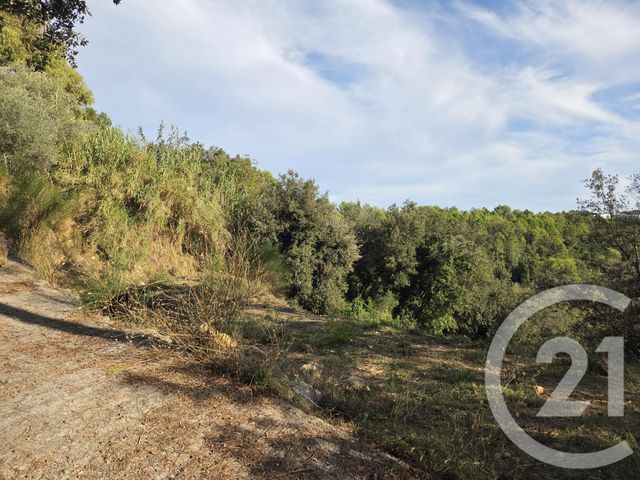 Terrain à vendre - 2999 m2 - Biot - 06 - PROVENCE-ALPES-COTE-D-AZUR