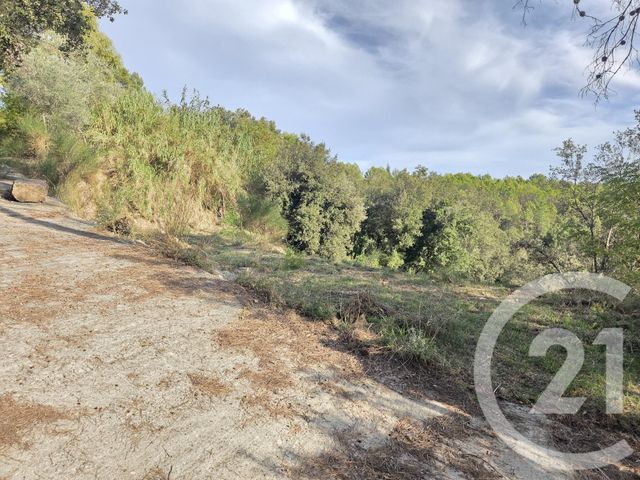 Terrain à vendre - 2999 m2 - Biot - 06 - PROVENCE-ALPES-COTE-D-AZUR