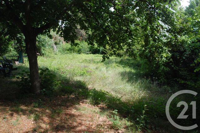 terrain - BIOT - 06