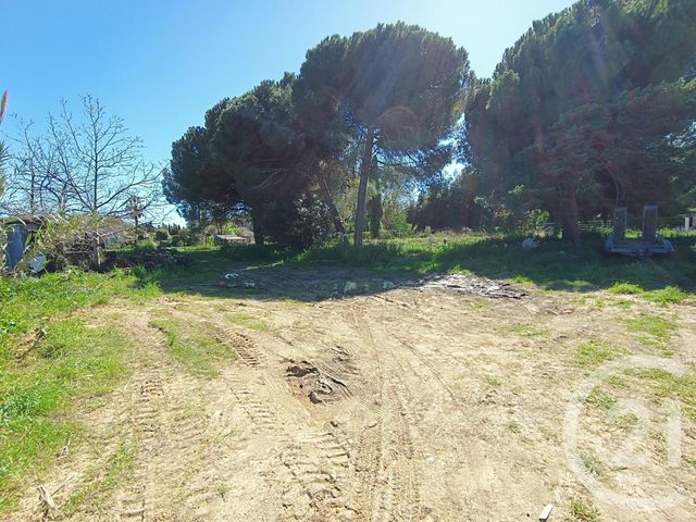 terrain - BIOT - 06