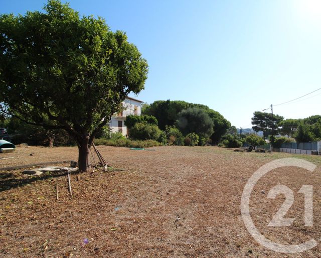 Maison &agrave; vendre - 12 pi&egrave;ces - 295 m2 - Cagnes Sur Mer - 06 - PROVENCE-ALPES-COTE-D-AZUR