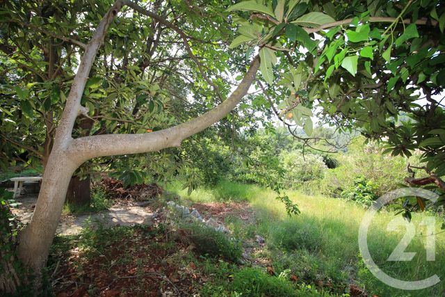 Maison à vendre - 6 pièces - 205 m2 - Biot - 06 - PROVENCE-ALPES-COTE-D-AZUR