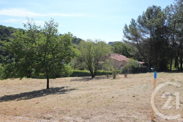 terrain - BIOT - 06