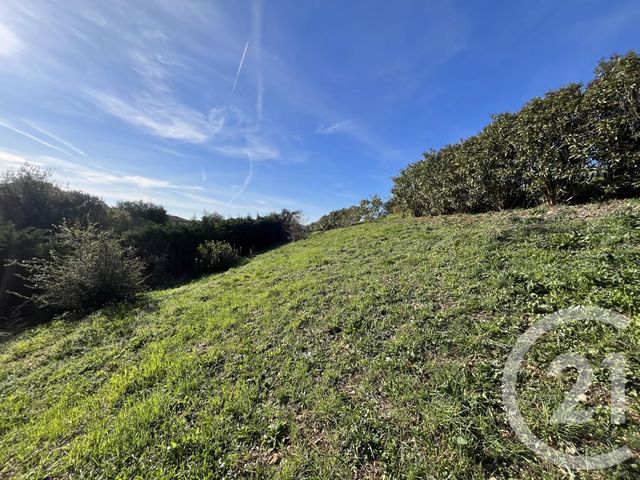 Terrain &agrave; vendre - 1798 m2 - Biot - 06 - PROVENCE-ALPES-COTE-D-AZUR