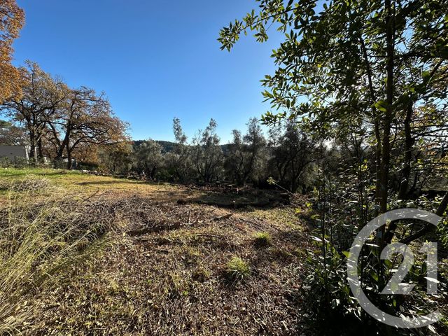 Terrain à vendre - 5677 m2 - Opio - 06 - PROVENCE-ALPES-COTE-D-AZUR