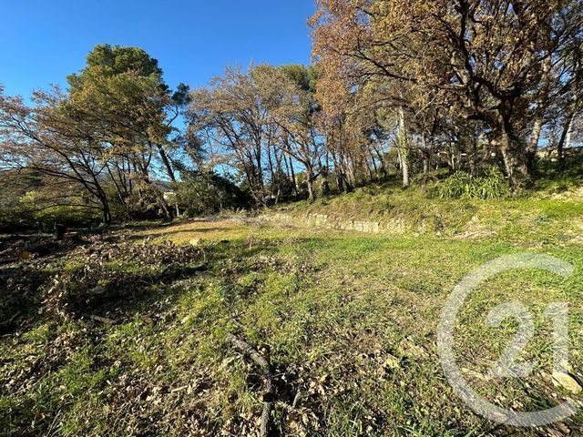 Terrain à vendre - 5677 m2 - Opio - 06 - PROVENCE-ALPES-COTE-D-AZUR