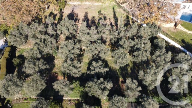 Terrain à vendre - 5677 m2 - Opio - 06 - PROVENCE-ALPES-COTE-D-AZUR