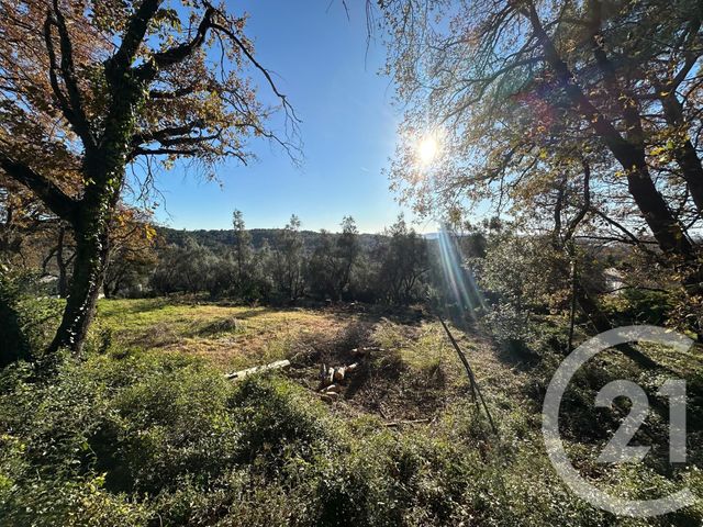 Terrain à vendre - 5677 m2 - Opio - 06 - PROVENCE-ALPES-COTE-D-AZUR