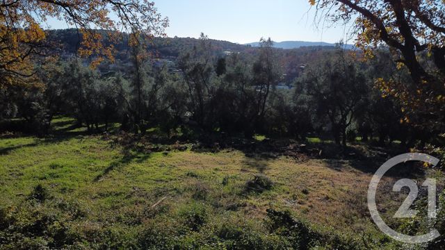 Terrain à vendre - 5677 m2 - Opio - 06 - PROVENCE-ALPES-COTE-D-AZUR