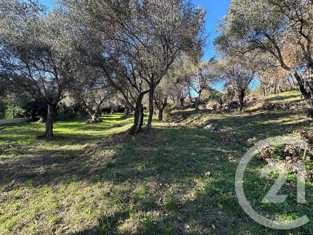 Terrain à vendre - 5677 m2 - Opio - 06 - PROVENCE-ALPES-COTE-D-AZUR
