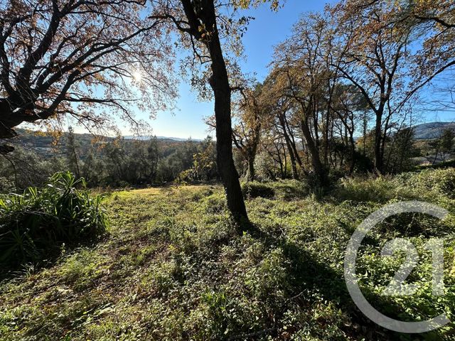 Terrain à vendre - 5677 m2 - Opio - 06 - PROVENCE-ALPES-COTE-D-AZUR