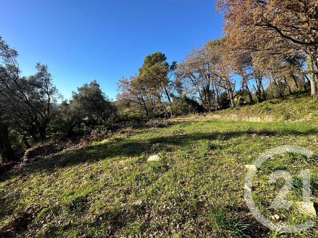 Terrain à vendre - 5677 m2 - Opio - 06 - PROVENCE-ALPES-COTE-D-AZUR