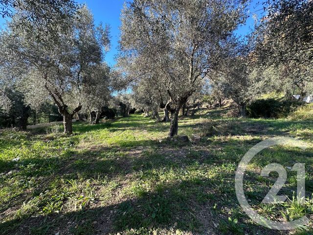 Terrain à vendre - 5677 m2 - Opio - 06 - PROVENCE-ALPES-COTE-D-AZUR