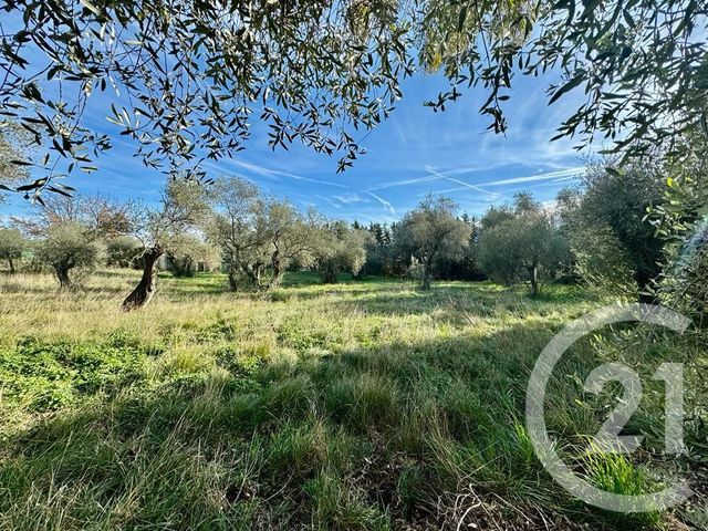 Terrain à vendre - 2000 m2 - Opio - 06 - PROVENCE-ALPES-COTE-D-AZUR