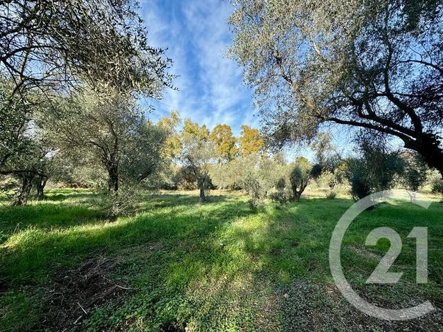 Terrain à vendre - 2000 m2 - Opio - 06 - PROVENCE-ALPES-COTE-D-AZUR