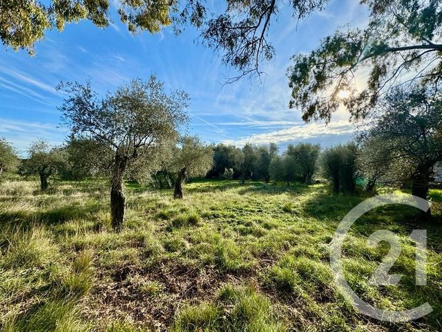 Terrain à vendre - 2000 m2 - Opio - 06 - PROVENCE-ALPES-COTE-D-AZUR