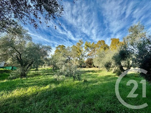 Terrain à vendre - 2000 m2 - Opio - 06 - PROVENCE-ALPES-COTE-D-AZUR