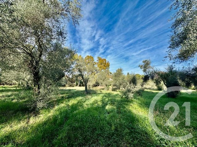 Terrain à vendre - 2000 m2 - Opio - 06 - PROVENCE-ALPES-COTE-D-AZUR