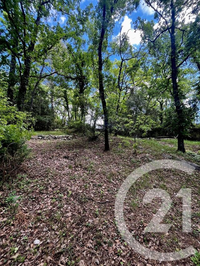 Maison &agrave; vendre - 5 pi&egrave;ces - 137,86 m2 - Le Rouret - 06 - PROVENCE-ALPES-COTE-D-AZUR