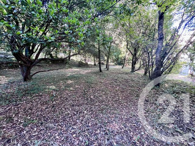 Maison &agrave; vendre - 5 pi&egrave;ces - 176 m2 - Roquefort Les Pins - 06 - PROVENCE-ALPES-COTE-D-AZUR