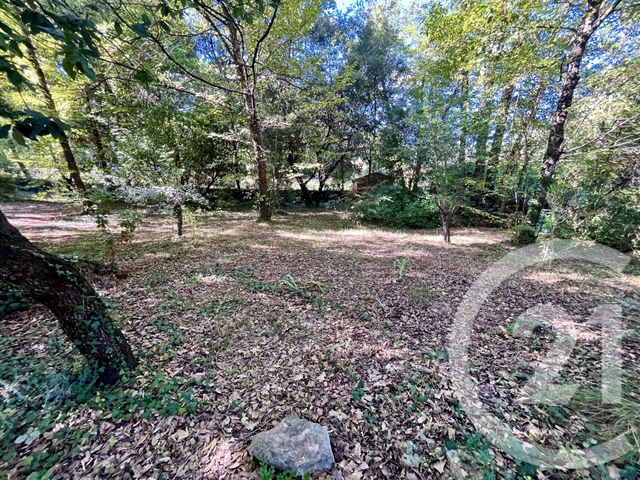 Maison &agrave; vendre - 5 pi&egrave;ces - 176 m2 - Roquefort Les Pins - 06 - PROVENCE-ALPES-COTE-D-AZUR