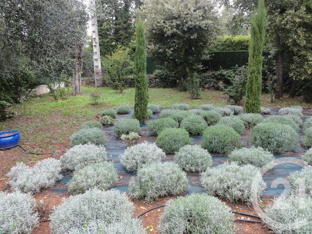 Maison &agrave; vendre - 4 pi&egrave;ces - 129 m2 - Roquefort Les Pins - 06 - PROVENCE-ALPES-COTE-D-AZUR