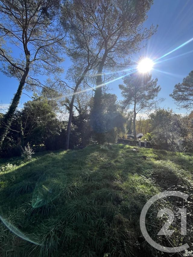 Terrain à vendre - 1584 m2 - Roquefort Les Pins - 06 - PROVENCE-ALPES-COTE-D-AZUR