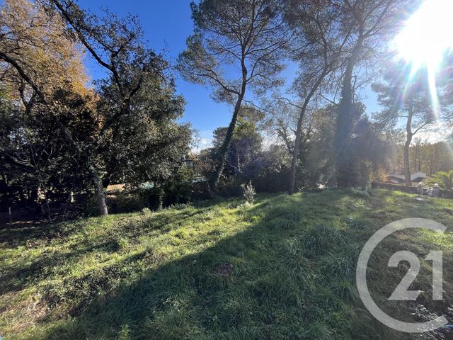 Terrain à vendre - 1584 m2 - Roquefort Les Pins - 06 - PROVENCE-ALPES-COTE-D-AZUR