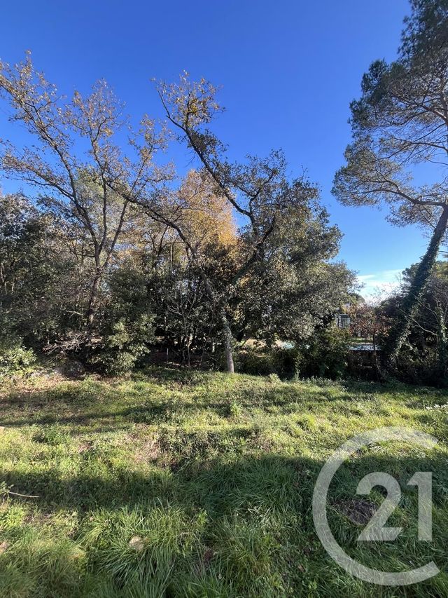 Terrain à vendre - 1584 m2 - Roquefort Les Pins - 06 - PROVENCE-ALPES-COTE-D-AZUR