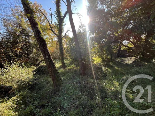 Terrain à vendre - 1584 m2 - Roquefort Les Pins - 06 - PROVENCE-ALPES-COTE-D-AZUR