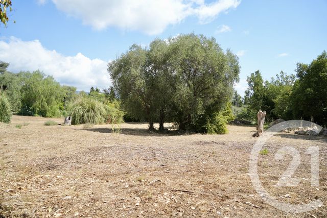 Terrain à vendre - 2749 m2 - Roquefort Les Pins - 06 - PROVENCE-ALPES-COTE-D-AZUR