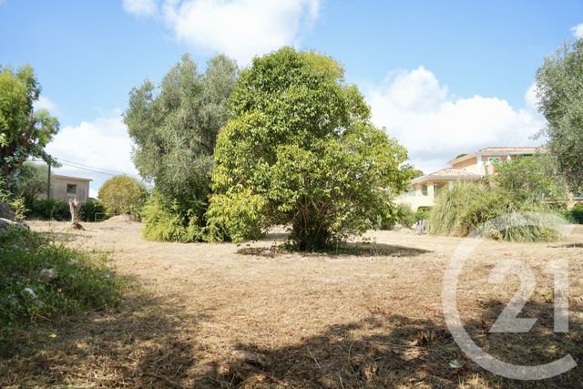 Terrain à vendre - 2749 m2 - Roquefort Les Pins - 06 - PROVENCE-ALPES-COTE-D-AZUR