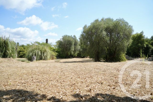 Terrain à vendre - 2749 m2 - Roquefort Les Pins - 06 - PROVENCE-ALPES-COTE-D-AZUR