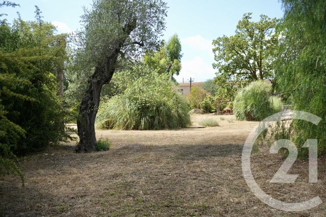 Terrain à vendre - 2749 m2 - Roquefort Les Pins - 06 - PROVENCE-ALPES-COTE-D-AZUR