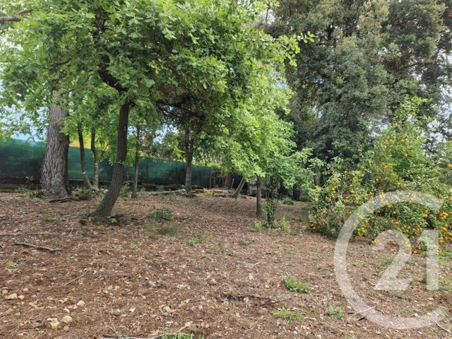 Maison &agrave; vendre - 6 pi&egrave;ces - 138,89 m2 - Roquefort Les Pins - 06 - PROVENCE-ALPES-COTE-D-AZUR