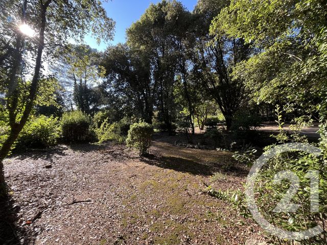 Terrain à vendre - 1500 m2 - Roquefort Les Pins - 06 - PROVENCE-ALPES-COTE-D-AZUR