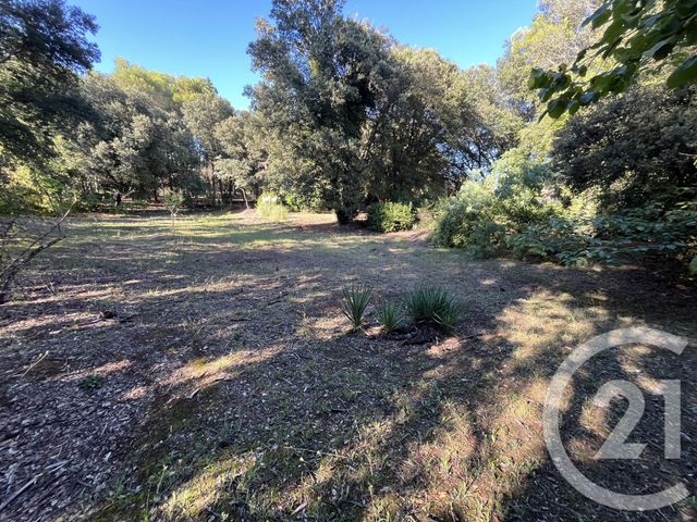 Terrain à vendre - 1500 m2 - Roquefort Les Pins - 06 - PROVENCE-ALPES-COTE-D-AZUR