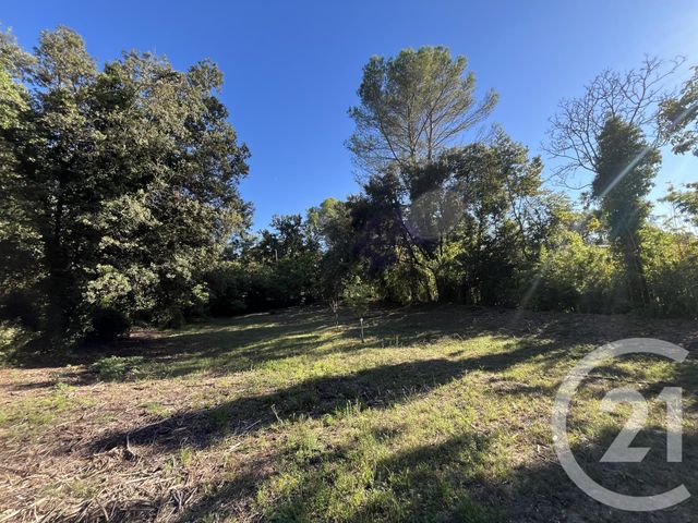 Terrain à vendre - 1500 m2 - Roquefort Les Pins - 06 - PROVENCE-ALPES-COTE-D-AZUR