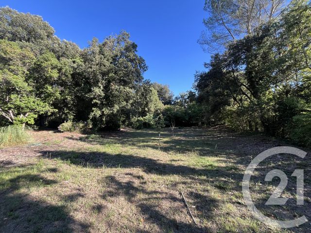 Terrain à vendre - 1500 m2 - Roquefort Les Pins - 06 - PROVENCE-ALPES-COTE-D-AZUR