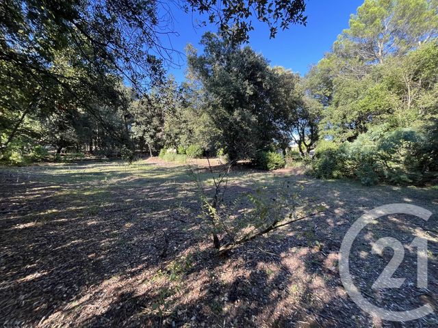 Terrain à vendre - 1500 m2 - Roquefort Les Pins - 06 - PROVENCE-ALPES-COTE-D-AZUR