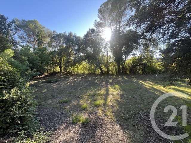 Terrain à vendre - 1500 m2 - Roquefort Les Pins - 06 - PROVENCE-ALPES-COTE-D-AZUR
